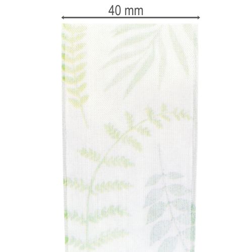 Product Organza ribbon, chiffon ribbon, green with leaf tendrils, 40mm wide, 15m long