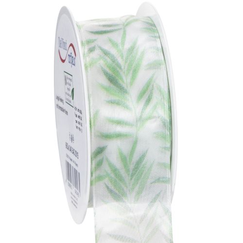 Floristik24 Organza ribbon, chiffon ribbon, green plant ribbon, 40mm x 15m