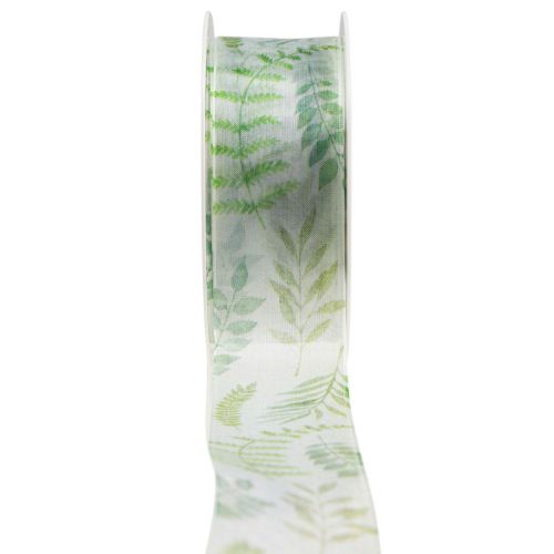 Floristik24 Organza ribbon chiffon ribbon green leaf tendrils 40mm 15m