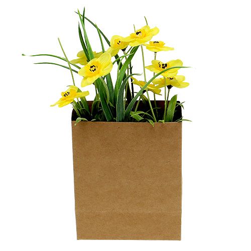 Floristik24 Daffodil in paper bag yellow H21cm