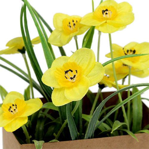 Floristik24 Daffodil in paper bag yellow H21cm