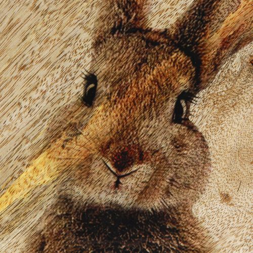 Product Easter Bunny Wooden Plate Egg Shaped Natural 25×26cm