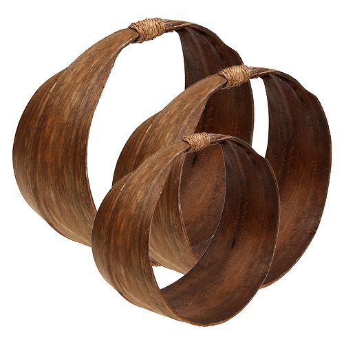 Palm leaf set nature 21cm -26cm