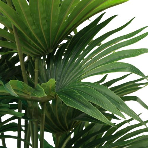 Floristik24 Palm decorative fan palm artificial plants pot green 80cm