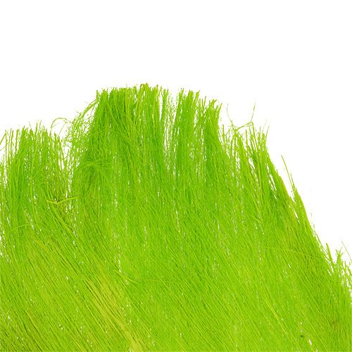 Floristik24 Palm fiber pastel light green 400gr