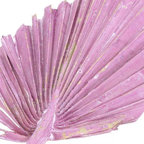 Product Palmspear Mix Pink Berry, White Washed Memorial Floristry 65pcs