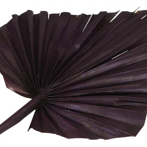 Product Palmspear Mix Pink Berry, White Washed Memorial Floristry 65 pcs