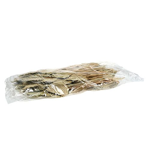 Product Palmspear Natural 100 pcs