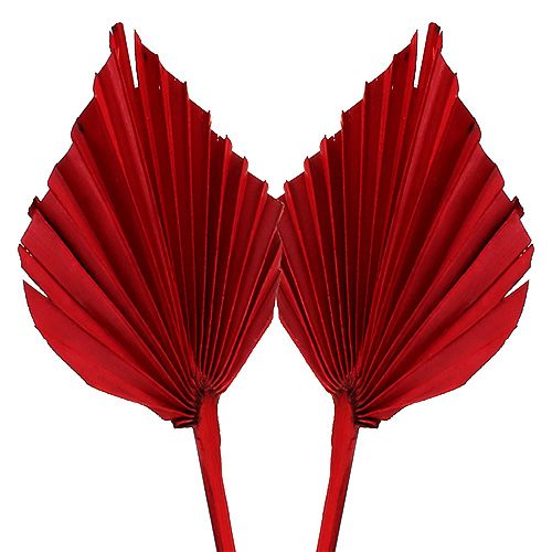 Product Palmspear Red 65pcs