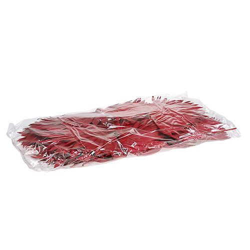 Product Palmspear Red 65 pcs