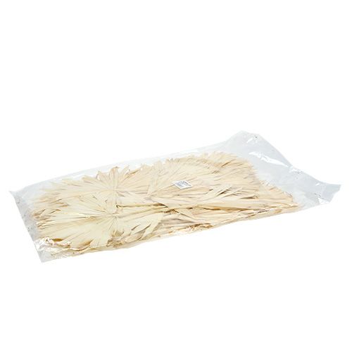Product Palmspear Sun bleached 30 pcs