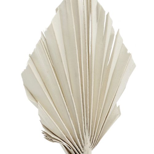 Product Palmspear Mini White Washed 100 pcs