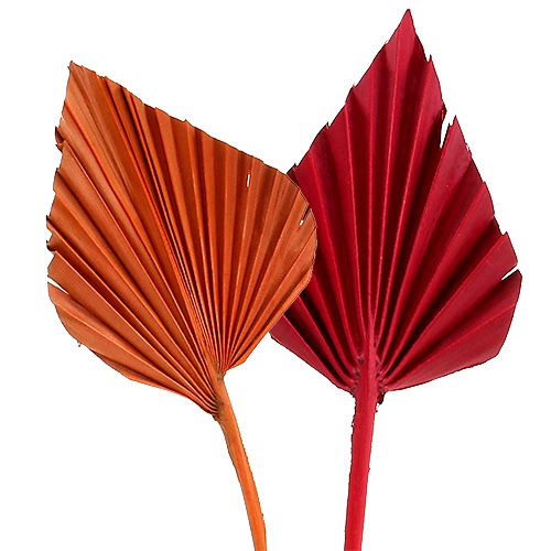 Palmspear sorted Red/Orange 50pcs