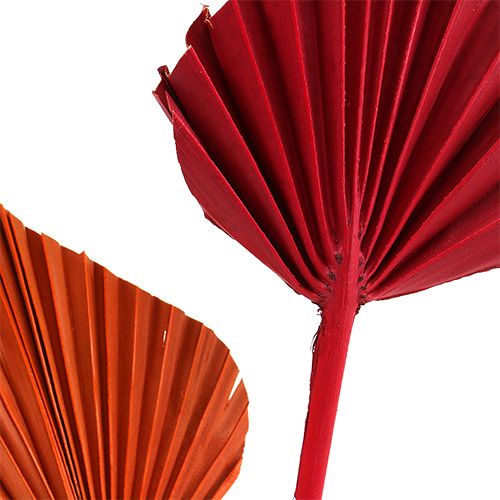 Palm spear mini sort. Red/Orange 100pcs