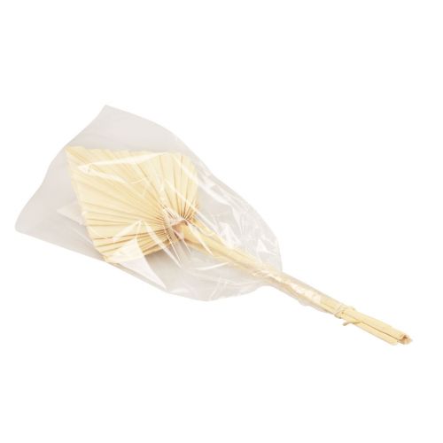 Floristik24 Palmspear palm leaves natural decoration bleached 12.5×38cm 4 pcs
