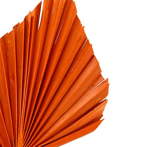 Product Palmspear Orange 65 pcs