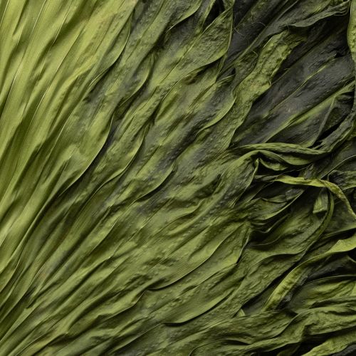 Product Palm frond decoration for exotic arrangements and table decoration