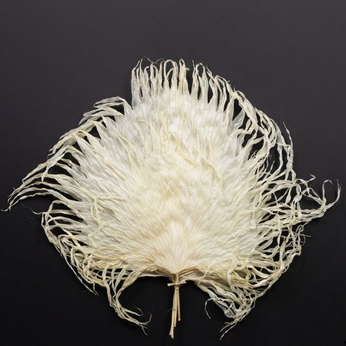 Product Palm fronds dried decorative leaves bleached 45cm 5 pcs