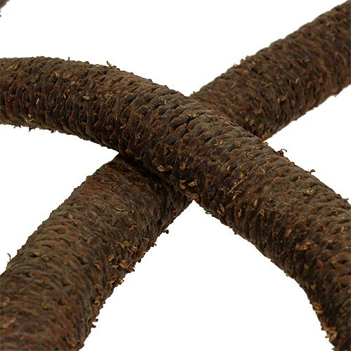 Floristik24 Palm cones 3-fold natural decoration 10 pcs