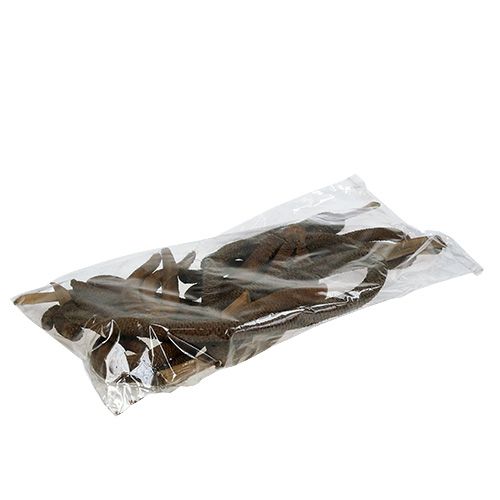 Floristik24 Palm cones 3-fold natural decoration 10 pcs