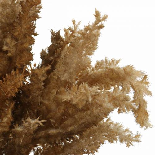 Floristik24 Artificial pampas grass brown dry decoration ornamental grass 35cm 4pcs