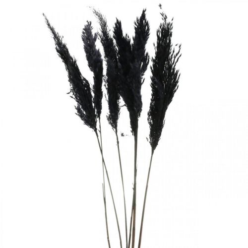 Product Pampas grass black 65-75cm dry grass natural decoration 6 pieces