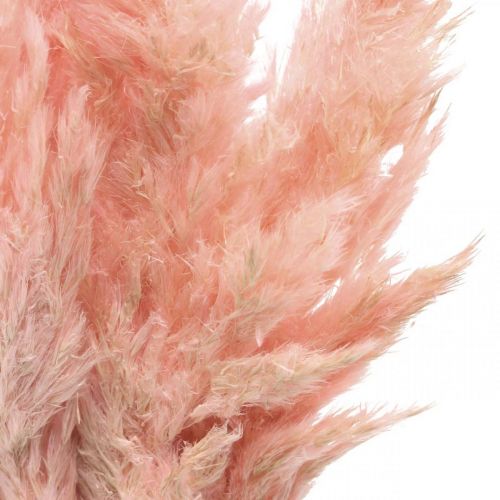 Pampas grass dried pink dry floristry 65-75cm 6pcs in bunch