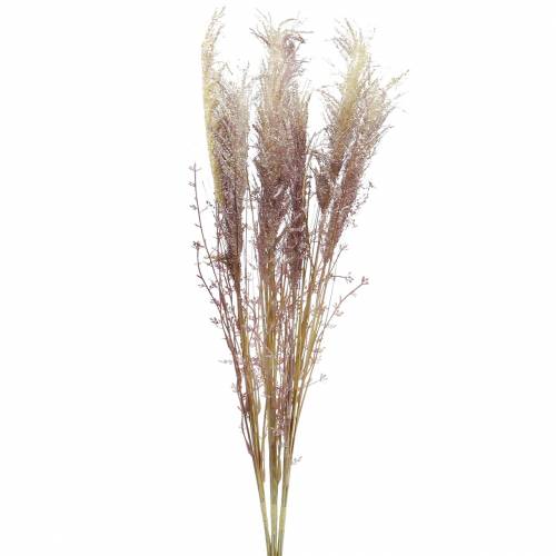 Pampas grass crème, violet Artificial dried flowers 3pcs
