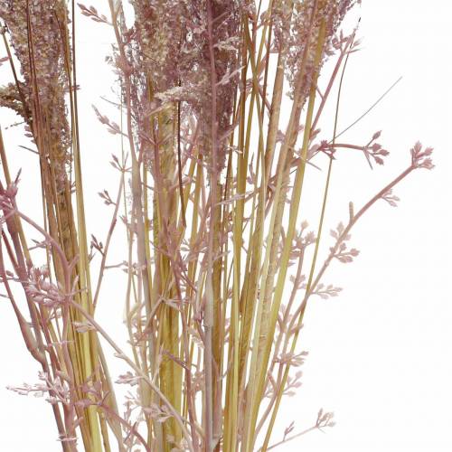 Floristik24 Pampas grass crème, violet Artificial dried flowers 3pcs