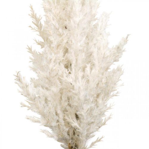 Product Pampas Grass White Artificial Dry Grass Artificial Plants