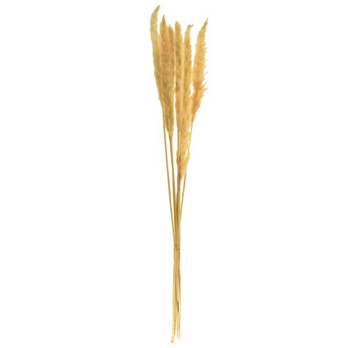 Product Pampas grass dried flower decorative branches for home and table decoration