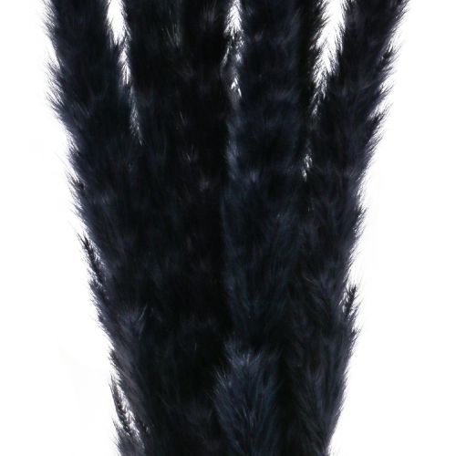 Product Black Pampas Grass Decoration Dried 72cm 6 Pieces