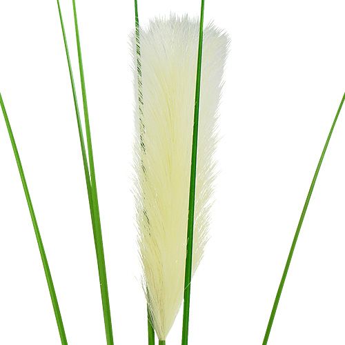 Product Pampas grass fronds cream-green H100cm
