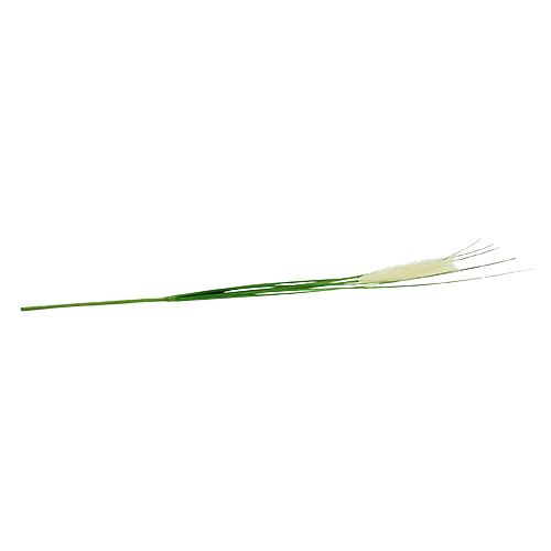 Floristik24 Pampas grass fronds cream-green H100cm