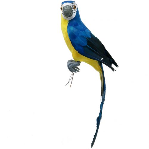 Floristik24 Decorative parrot blue 44cm