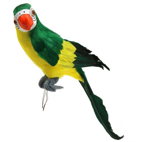 Floristik24 Decorative parrot green 44cm