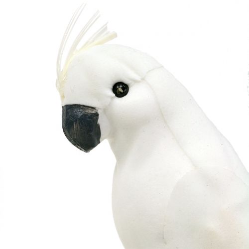 Product Parrots with feathers white Artificial cockatoo decorative bird 4pcs