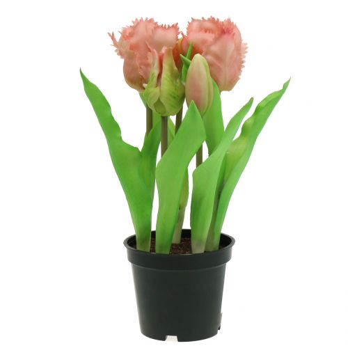 Floristik24 Parrot tulip Real-Touch in a pot pink 23cm