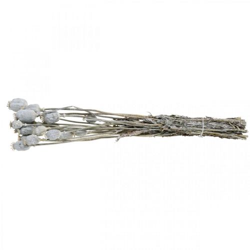 Floristik24 Deco Poppy White Dried Flowers Poppy capsules Papaver Bunch of 75g