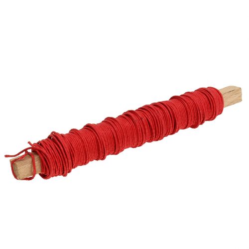 Floristik24 Paper cord wire wrapped Ø0.8mm 22m red