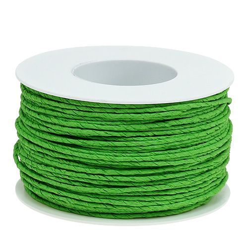 Product Paper cord wrapped in wire Ø2mm 100m apple green