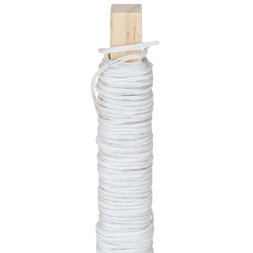 Product Paper cord wire wrapped Ø0.8mm 22m white