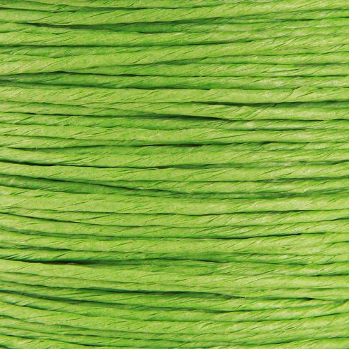 Product Paper cord wire wrapped Ø2mm 100m apple green