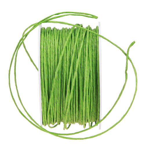 Product Paper cord wire wrapped Ø2mm 100m apple green