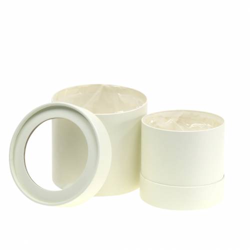 Flower box round cardboard cream Ø10/12cm set of 2