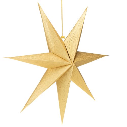 Product Christmas star lights, paper star decoration, festive, elegant design