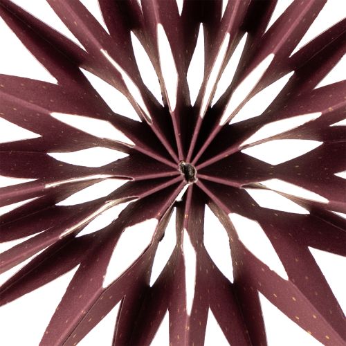 Product Decorative paper stars for hanging, perfect for festive decorations