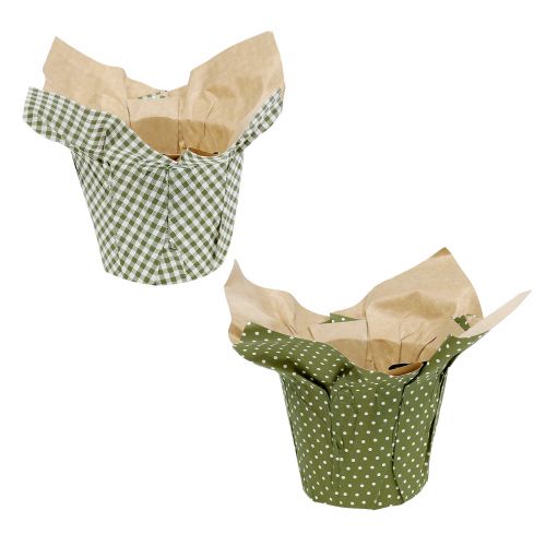Floristik24 Paper pot with pattern green-white Ø9.5cm 12 pcs