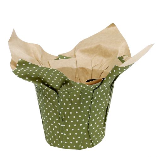 Product Paper cachepot patterned green-white Ø11.5cm 8pcs