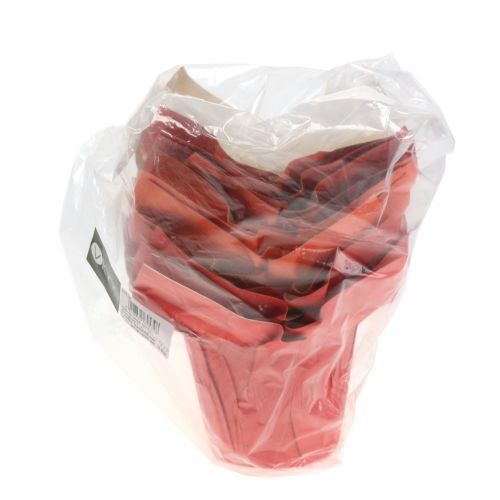 Floristik24 Paper pot planter orange / red Ø8cm 12pcs
